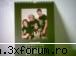 poze cu bill - alexandra - BILL
